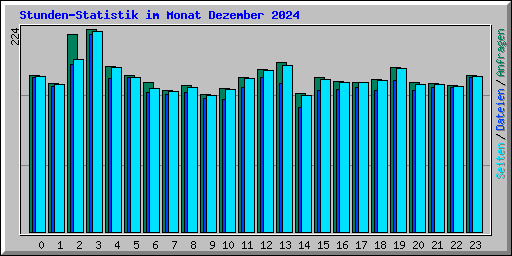 Stunden-Statistik im Monat Dezember 2024