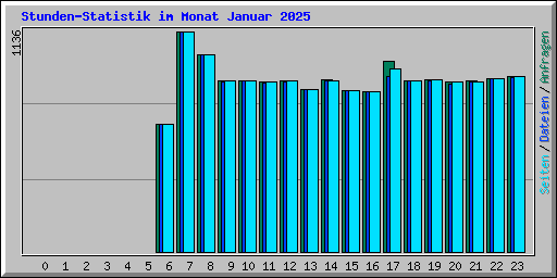 Stunden-Statistik im Monat Januar 2025