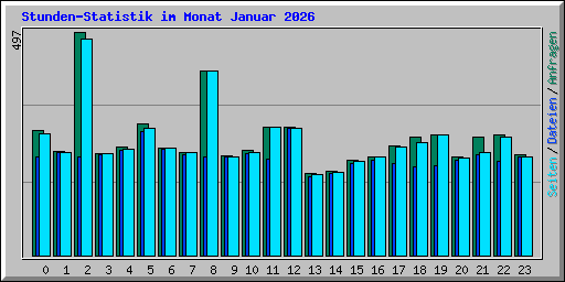 Stunden-Statistik im Monat Januar 2026